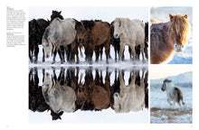Wild Horses - Interior 1