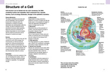 Human Anatomy - Interior 1