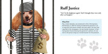 Dogs Gone Bad - Interior 1