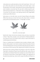 Weed Mom - Interior 1