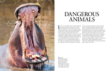 Dangerous Animals - Interior 1