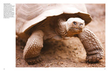 Galapagos Islands - Interior 1