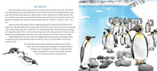 A Penguin's Quest - Interior 1