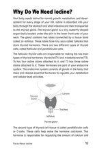 The Iodine Balancing Handbook - Interior 1