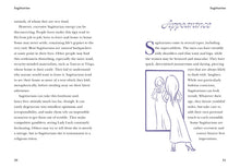 Sagittarius - Interior 2