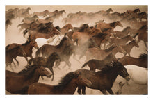Wild Horses - Interior 2