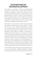 The Vagus-Immune Connection - Interior 2