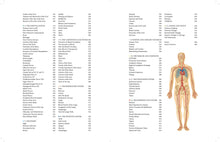 Human Anatomy - Interior 2