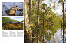 Crocodiles, Alligators & Lizards - Interior 2