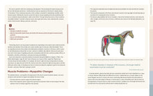 The Complete Horse Muscle Book - Interior 2
