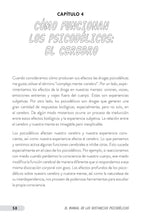 The Psychedelic Handbook - Interior 2