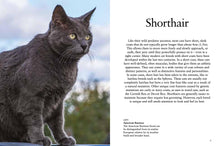 Cat Breeds - Interior 2