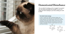 Cats Gone Bad - Interior 2