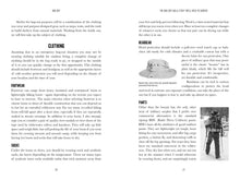 Bug Out - Interior 2