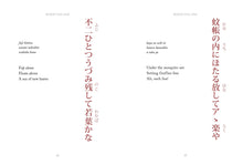 Haiku - Interior 2