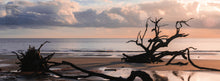 Coast - Interior 2