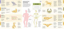 Foldout Anatomy - Interior 2