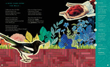 The Illustrated Emily Dickinson - Interior 2