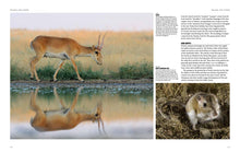 Natural History of the World - Interior 2