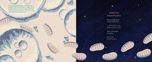 The Museum on the Moon - Interior 2