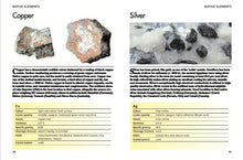 Minerals and Gemstones - Interior 2