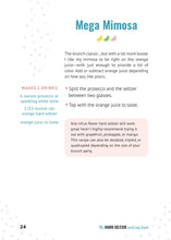 The Hard Seltzer Cocktail Book - Interior 2