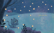 Starry Blankets - Interior 2