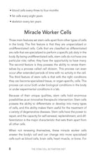 The Stem Cell Activation Diet - Interior 2