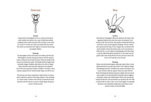 Ancient Egyptian Hieroglyphs Illustrated - Interior 2