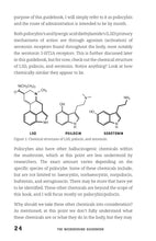 The Microdosing Guidebook - Interior 2