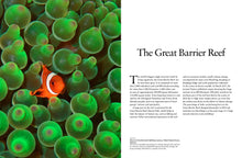 Reefs - Interior 2