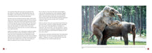 Sex and the Animals - Interior 2
