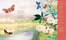 The Illustrated Emily Dickinson - Interior 3