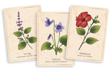 The Herbal Tea Magic for the Modern Witch Oracle Deck - Interior 3