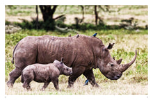 Endangered Animals - Interior 3