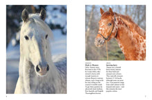Horses - Interior 3