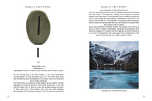 Runes - Interior 3