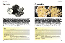 Minerals and Gemstones - Interior 3