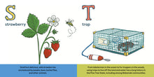 The Maine ABCs - Interior 3