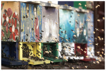 Bees - Interior 3