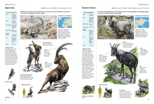 Encyclopedia of Animals - Interior 3