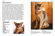 Cat Breeds - Interior 3