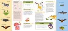 Foldout Anatomy - Interior 3