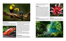 Natural History of the World - Interior 3