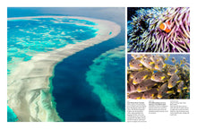 Reefs - Interior 3