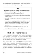 African American Herbalism - Interior 3