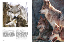 Wolves - Interior 3