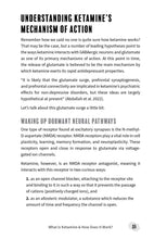 The Ketamine Handbook - Interior 3