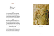 Ancient Egyptian Hieroglyphs Illustrated - Interior 3