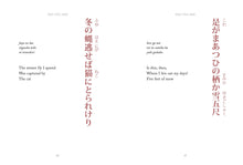 Haiku - Interior 3